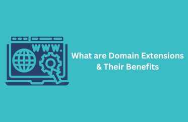 What are domain extensions